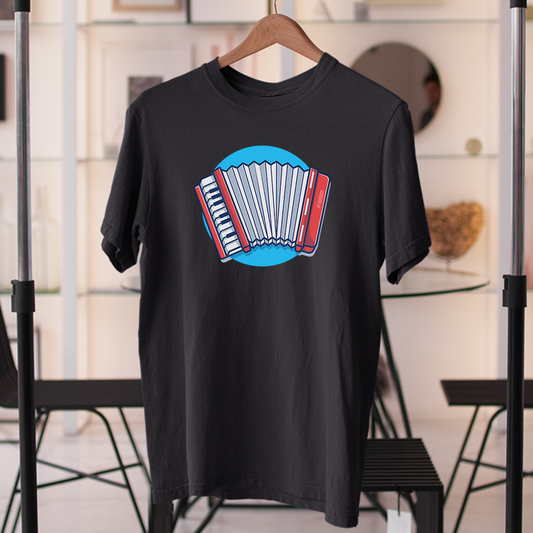 Accordion Player